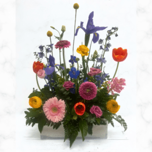 $130 Garden in Bloom